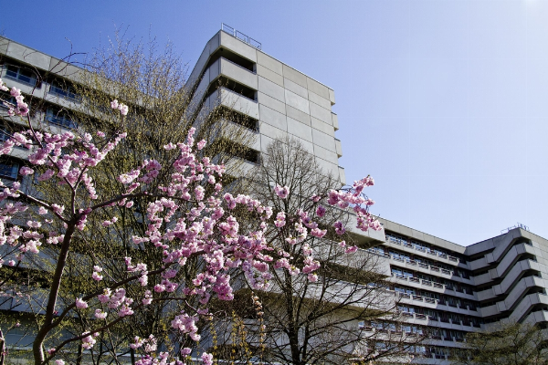 Klinik am Eichert